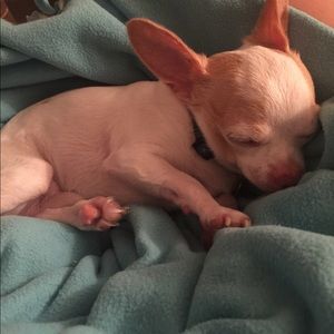 Meet your Posher, Beth